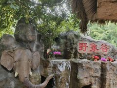 -野象谷景区