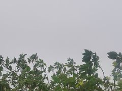 -紫金山索道-售票处