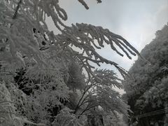 -秦岭终南山世界地质公园翠华山景区