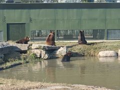 -上海野生动物园