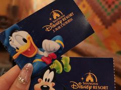 -上海迪士尼度假区