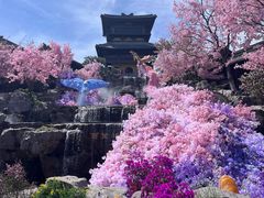 -茅山东方盐湖城景区