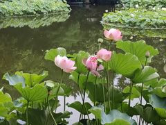 -成都市文化公园