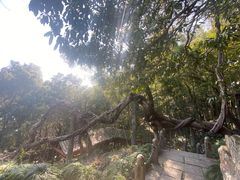 -严子陵钓台(富春江小三峡)