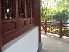 -中国扬子鳄村