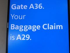 -达拉斯 沃斯堡国际机场