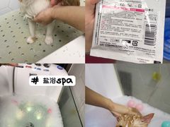 -瑞鹏宠物医院·眼科·皮肤·中兽医(大悦城分院)