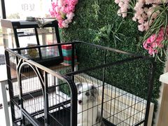 -学姐家酸奶铺(江大店)