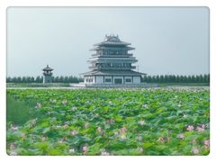 -呼兰河口湿地公园