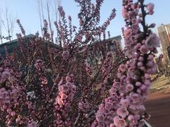 -迎泽公园