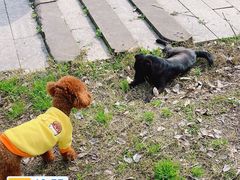 -白鹭湾湿地公园