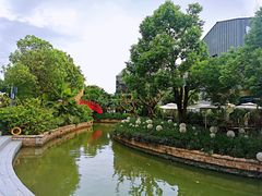 -陈鹏鹏潮汕菜(欢乐海岸 海边景观店)