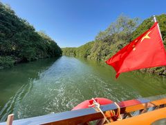 -大湾区中央湿地公园