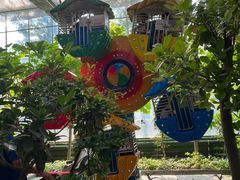 -南宫五洲植物乐园