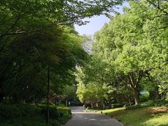 -杭州半山国家森林公园