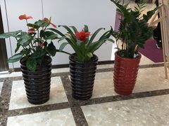 -文峰大世界(南大街店)
