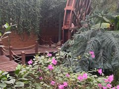 -金稼园·金平湖农家菜
