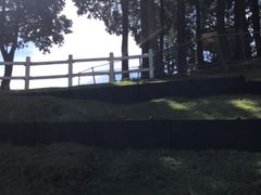 -神户市立六甲山牧场