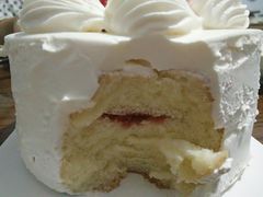 -幸福鸟动物奶油生日蛋糕(军校店)