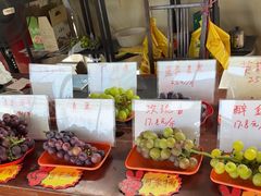 -马陆小张葡萄园农家乐