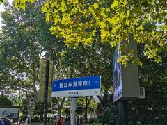 -东湖落雁景区