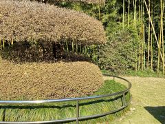 -苏州河梦清园环保主题公园