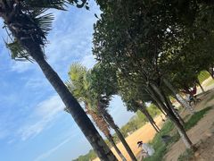 -瑶湖郊野森林公园