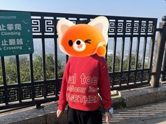 -紫金山天文台