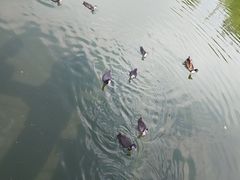 -前关湿地公园