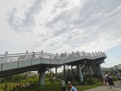 -宝安西湾红树林湿地公园