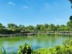 -河川生态园