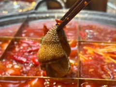 -正南齊北重庆老火锅(光华村直营店)