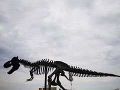 -二连浩特国家地质公园