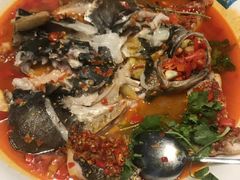 -坛宗剁椒鱼头(河西王府井店)