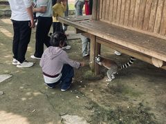 -南昌动物园