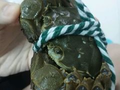 -喜洋洋蟹庄(阳澄湖店)
