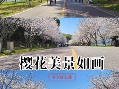 -团城山公园