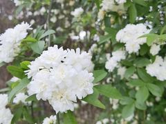 -中国天府农业博览园