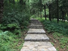 -佛慧山