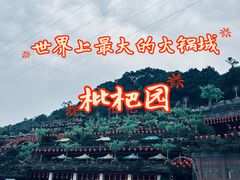-枇杷园食为鲜火锅(南山店)