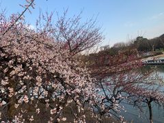 -白塘生态植物园