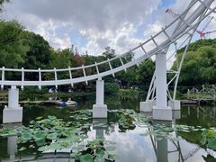 -上海共青森林公园