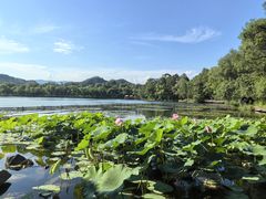 -承德避暑山庄景区