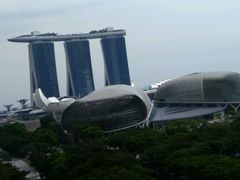 -新加坡瑞士史丹福酒店