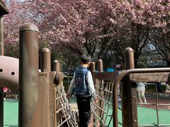 -唐城墙遗址公园