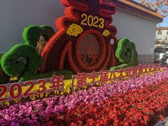 -八大处公园