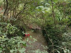 -桤木河湿地公园