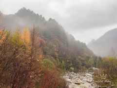 -秦岭风景区