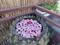 -兰纳泰式spa(古城店)