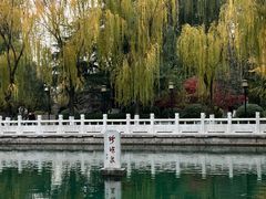 -趵突泉景区